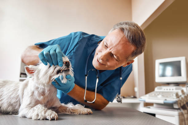  Haltom City, TX Emergency Dentist Pros
